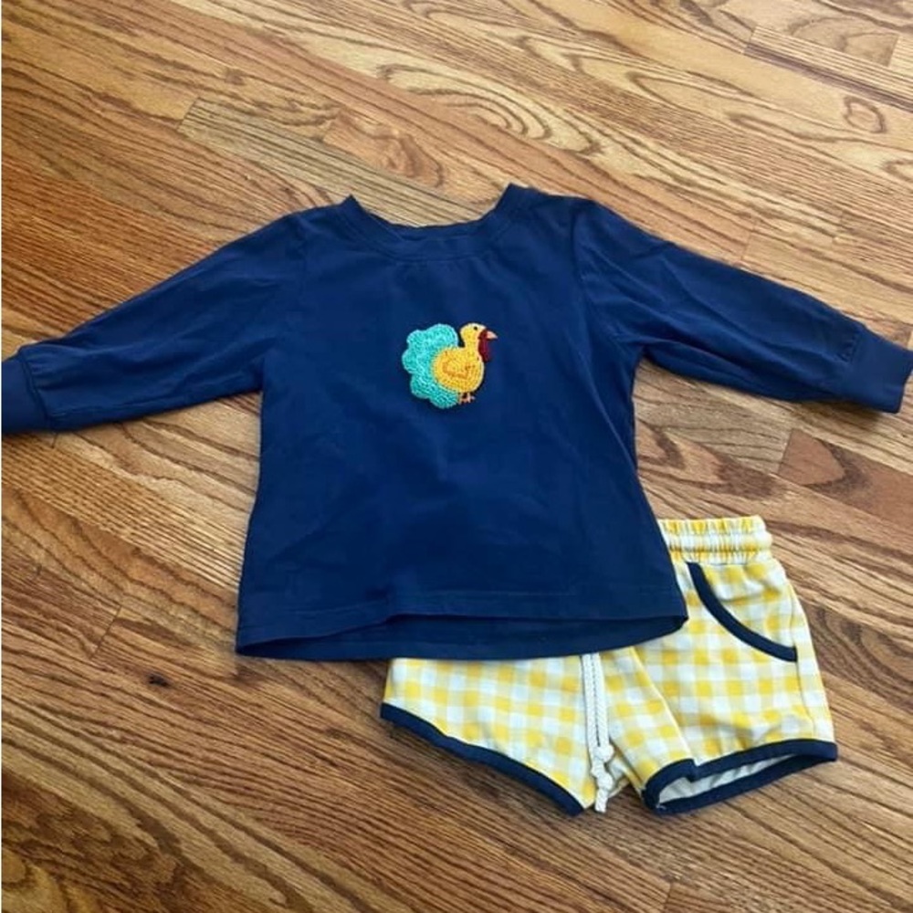 Busy bee smocks turkey set